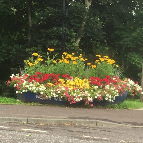 Newport and Wormit in Bloom